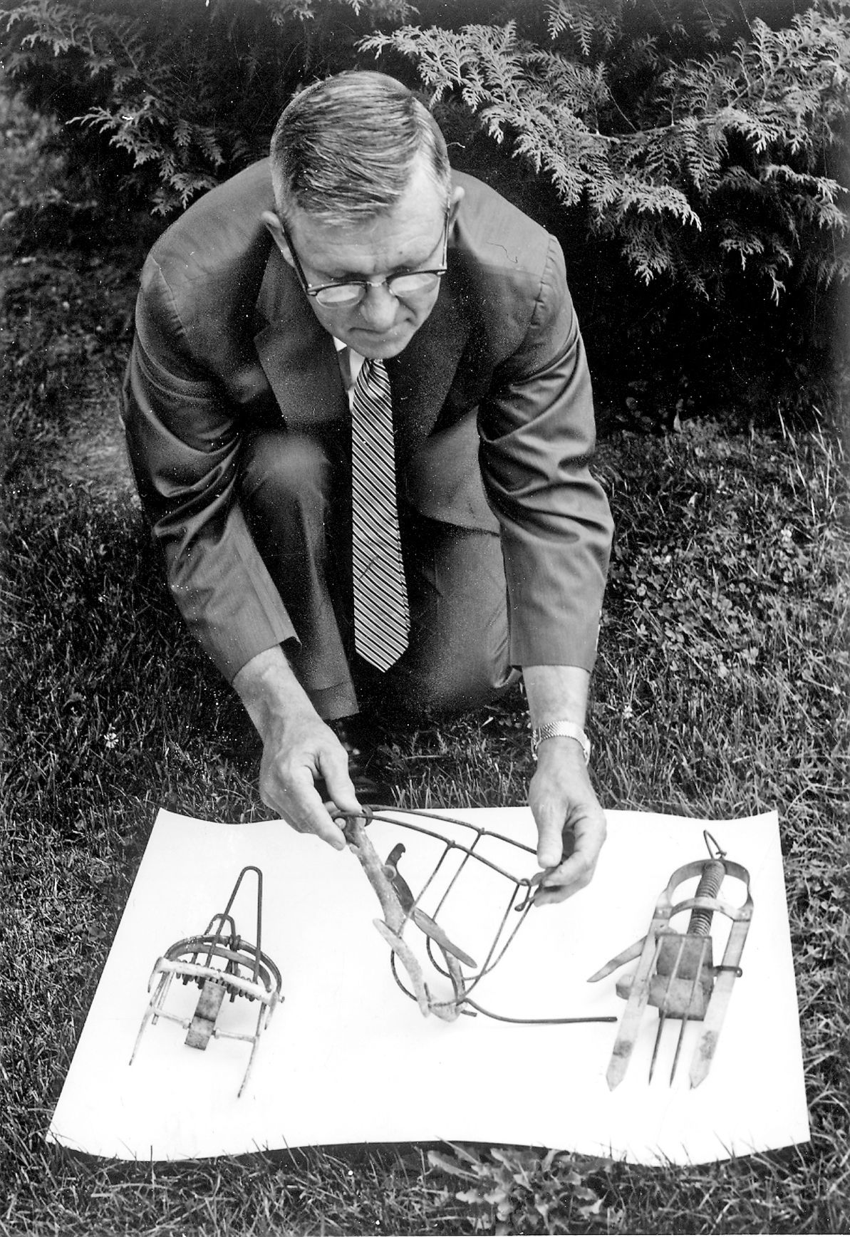 mole trap